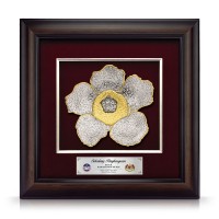 16" x 16" VIP Frame with Gold Plated Pewter - Rafflesia Flower 16" x 16" VIP Frame with Gold Plated Pewter - Rafflesia Flower