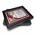 10.5" x 13.5" Award Plaque with Gold Plated Pewter - Trophy