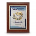 7" x 9" Award Plaque with Gold Plated Pewter - Dragon