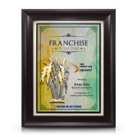9" x 11" Award Plaque with Gold Plated Pewter - Padi (Paddy)