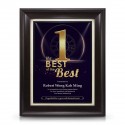 9" x 11" Award Plaque - Best of The Best Awards