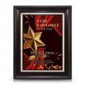 9" x 11" Award Plaque - Star Employee of The Year Awards