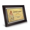 9" x 11" Award Plaque