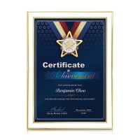 White Gold Certificate Frame with Gold Plated Pewter - Star Awards White Gold Certificate Frame with Gold Plated Pewter - Star Awards