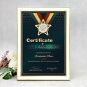White Gold Certificate Frame with Gold Plated Pewter - Star Awards