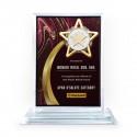 6" x 8" Crystal Award Plaque Vertical with Gold Plated Pewter - Star Awards