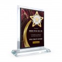 6" x 8" Crystal Award Plaque Vertical with Gold Plated Pewter - Star Awards