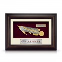 8.5" x 12" VIP Frame with Gold Plated Pewter - Asian Arowana (Big)