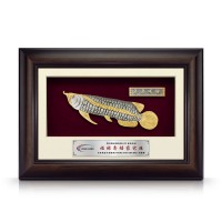 8.5" x 12" VIP Frame with Gold Plated Pewter - Asian Arowana (Big) 8.5" x 12" VIP Frame with Gold Plated Pewter - Asian Arowana (Big)