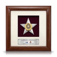 8" x 8" Solid Frame with Gold Plated Pewter - Star Awards