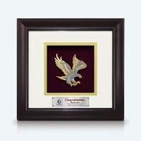 10" x 10" Solid Frame with Gold Plated Pewter : Flying Eagle 10" x 10" Solid Frame with Gold Plated Pewter : Flying Eagle