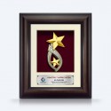 8.5" x 10" Solid Frame with Gold Plated Pewter : Double Star Awards