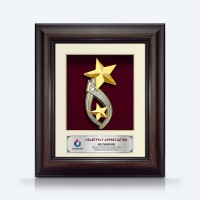 8.5" x 10" Solid Frame with Gold Plated Pewter : Double Star Awards