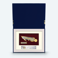 8" x 10" Book Frame with Gold Plated Pewter : Asian Arowana 8" x 10" Book Frame with Gold Plated Pewter : Asian Arowana